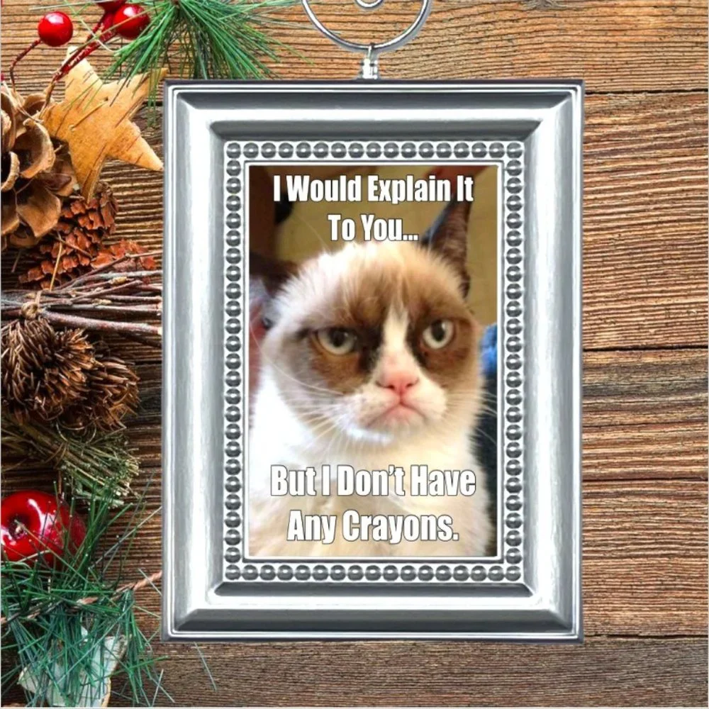 Cat Kitty Kitten Funny Christmas Tree Ornament
